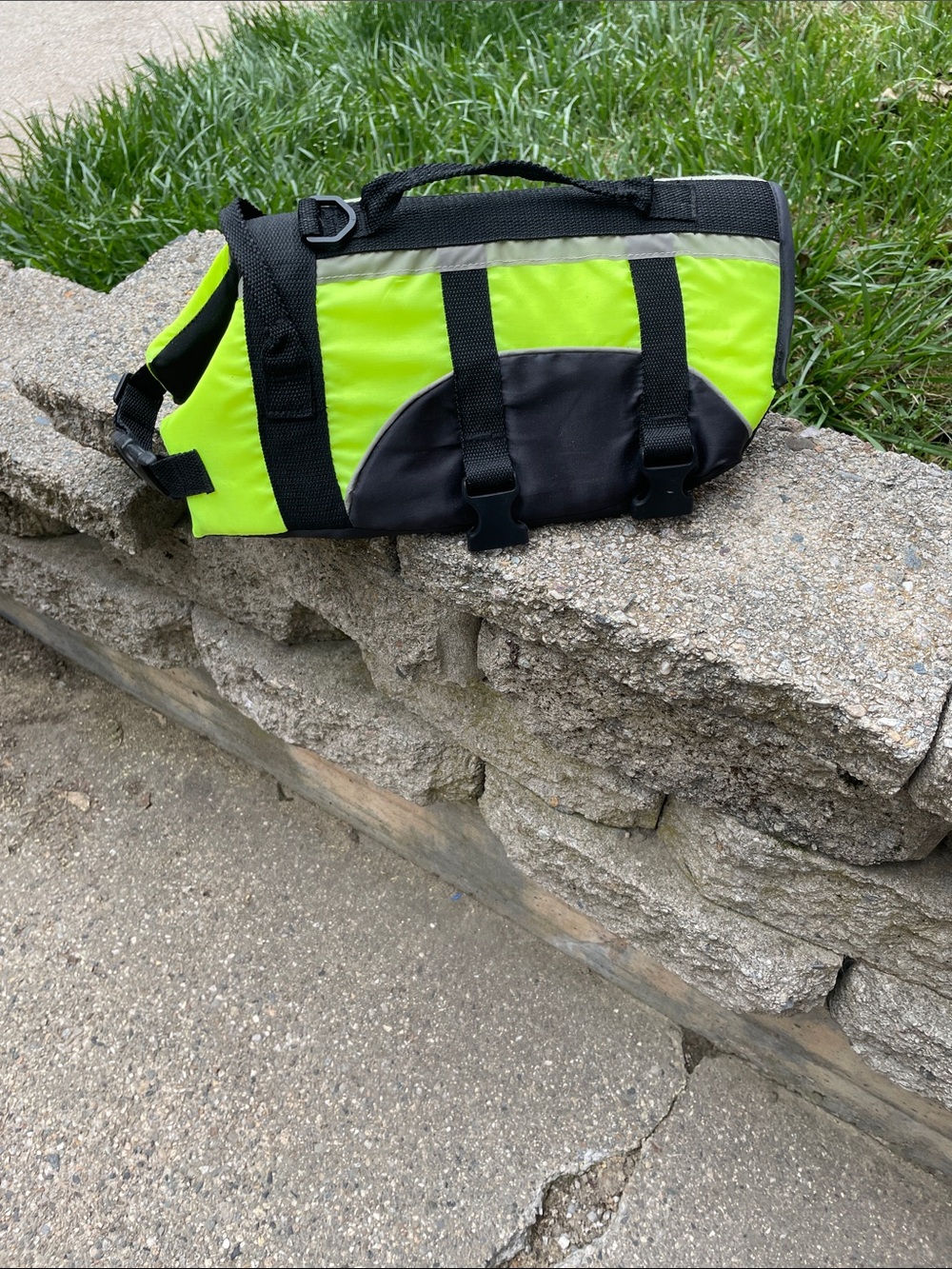 Small dog life jacket